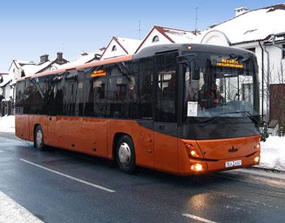 Intercity bus MAZ 231
