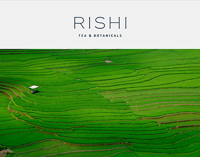 Rishi Newsletter Campaign