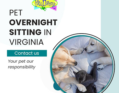 Pet Overnight sitting services in Virginia