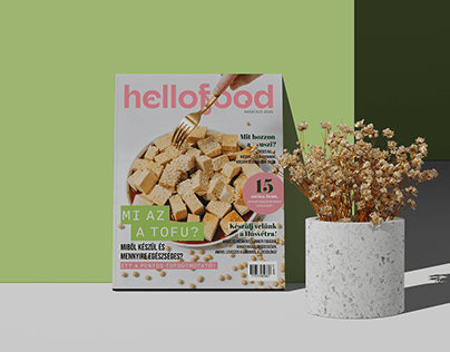 Hellofood magazine design