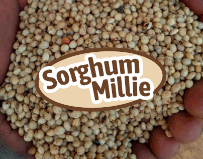 Southern Sorghum: Sorghum Millie product label