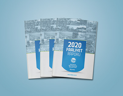 SBB - Belpaş - Faaliyet Programı 2020