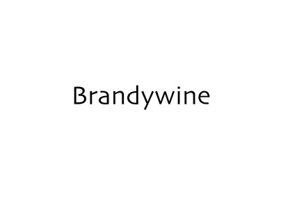 Brandywine-Creating logos for beverage brand