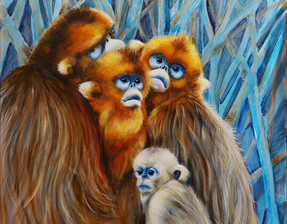 Wild Nature - Golden monkeys of the Asian peaks