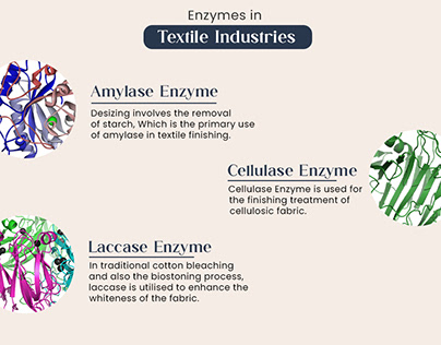 Textile Enzymes Manufacturer India