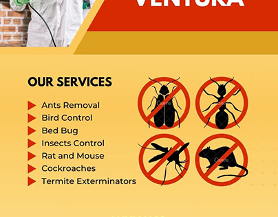 Expert Choice for Pest Control Ventura