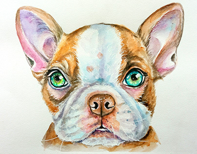 watercolor pet portrait, memorial, pet loss