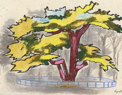 Trees from Life | Mixed Media Drawings