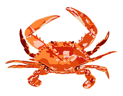 america series : crab, maryland