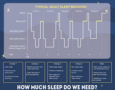 Sleep Cycle : Visual Explanation