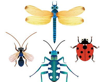 illustration of insects