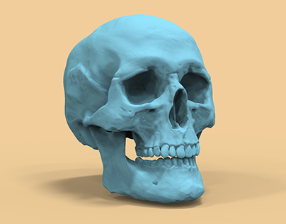 Realistic skull study and some render experiments