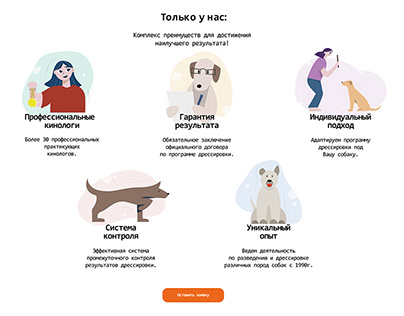 Иллюстрации для сайта дрессировки собак
