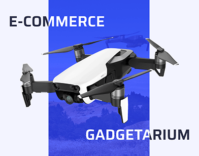 E-commerce/ Gadgetarium
