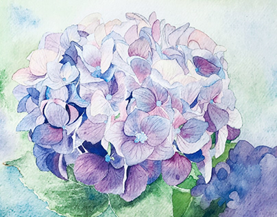 Hydrangea in Watercolor with Mockups