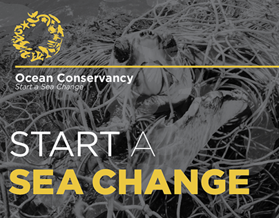 Start A Sea Change Annual Report
