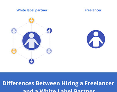 Freelancer vs White Label Partner
