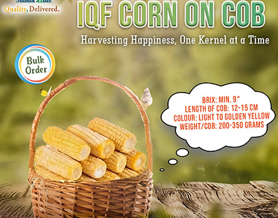 IQF Corn On Cob