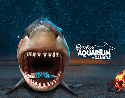 Ripley's Aquarium: Sleep with the sharks campaign