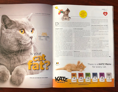 Print Ad for Valemount product - Katz Menu