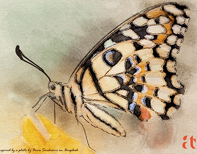 Papilio demoleus_Digital Watercolors Series_18