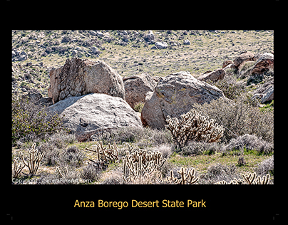 Anza Borrego Desert Photoshoot March 2015