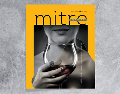 Revista Mitre Experience
