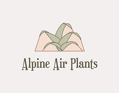Alpine Air Plants