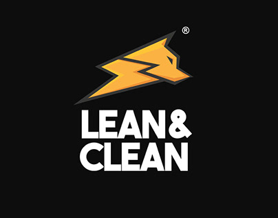 Lean & Clean Egypt Project