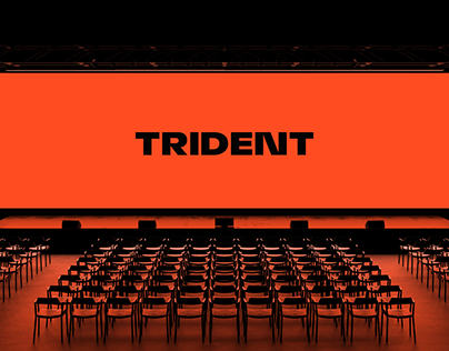 Project thumbnail - Trident Media
