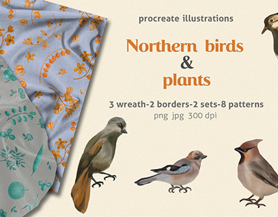 Northern birds and plants