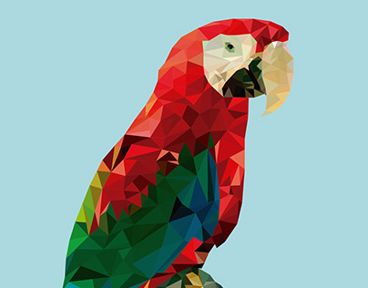 Polygonal Macaw