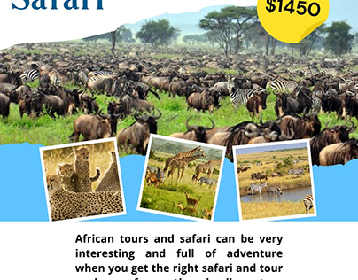 African Tours And Safari