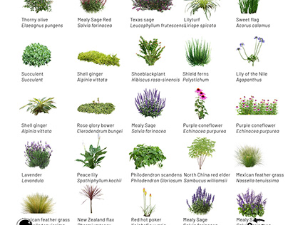 Plant Library to download