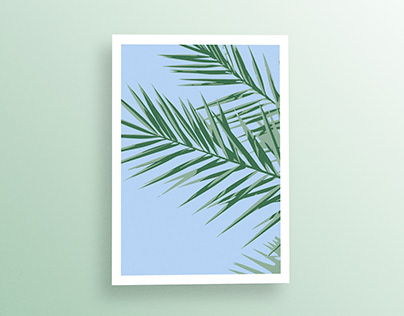 Blue Tropical Palm Wall Art Print