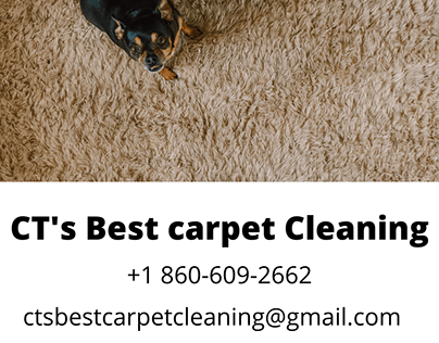 #1 Carpet Cleaning in City