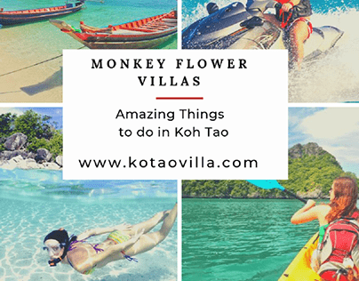 Things to do in Koh Tao