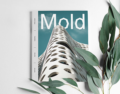 Mold - Magazine