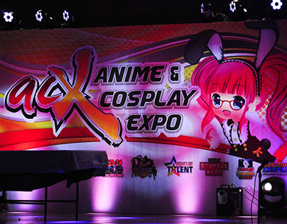 Anime & Cosplay Expo 2017.