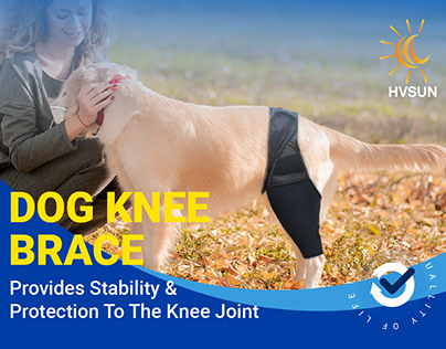 Dog Knee Brace HVSUN
