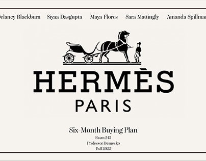 Hermes 6 Month Mock Buying Plan