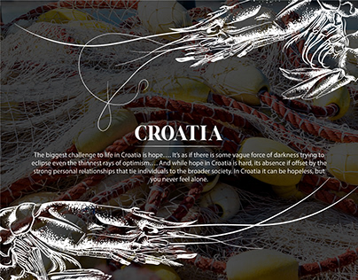 Graphic image for engraving. Adriatic prawn or shrimp