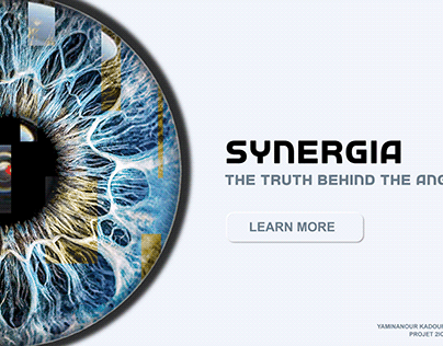 Synergia - Second year project