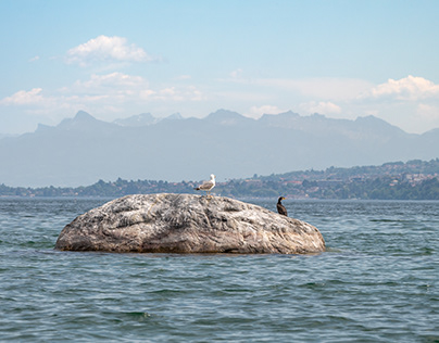 Lemanic Marine - the splendor of Lake Geneva