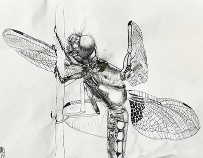 Sketchbook: of Fish and Insects