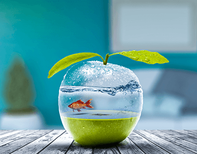 Apple and fish