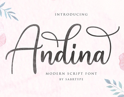 Andina - Beautiful Script Font