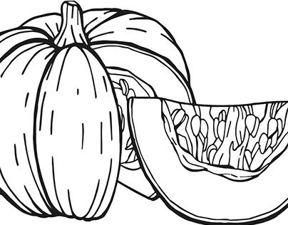 Different pumpkins. Simple illustrations in vector