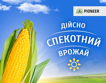 Pioneer corn hybrids poster