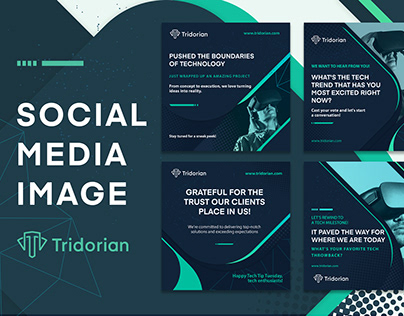 Social Media Post (Tridorian Tech Service Agency)